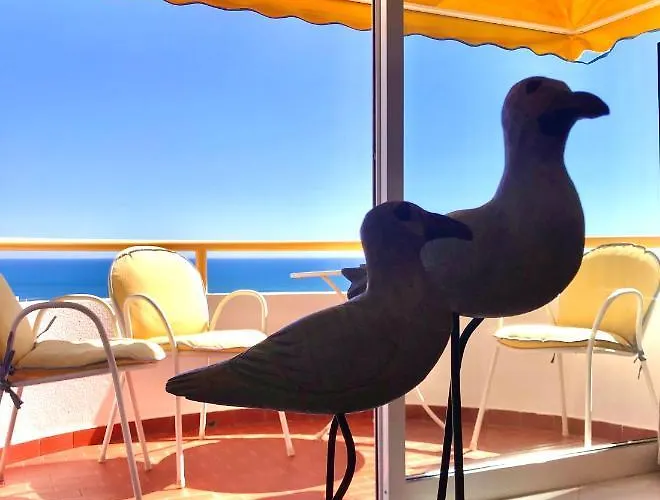 아파트 Gil Eanes Ocean View Nautical 알부페이라