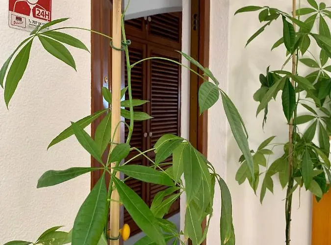 Gil Eanes Ocean View Nautical 알부페이라