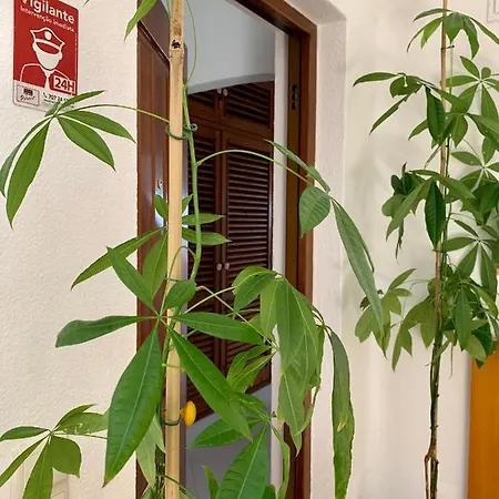 Gil Eanes Ocean View Nautical Albufeira